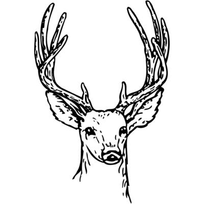 DEER011 Thumbnail