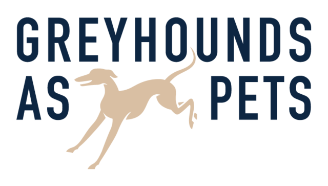 Greyhounds As Pets NZ