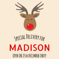 Reindeer - Medium Calico Santa Sack Design