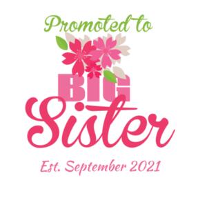 Promoted to Big Sister - Kids Wee Tee Design