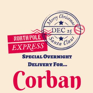 North Pole Express - Medium Calico Santa Sack Design