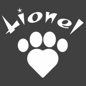 Heart Paw Pet - Stonewash Bandana Design