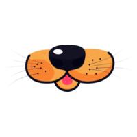 Cat Face - Face Mask Design