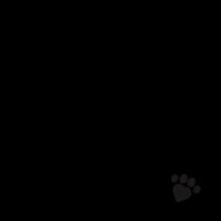Mum to Fur Baby  - Inner Coloured Mug Design