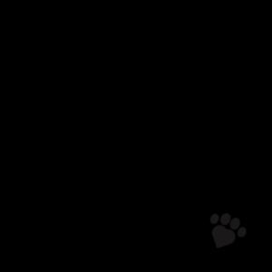 Mum to Fur Baby  - Inner Coloured Mug Design