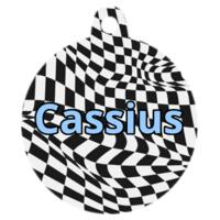 Checkerboard pet name tag - Pet Tag Design