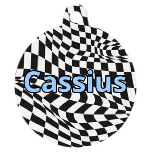 Checkerboard pet name tag - Pet Tag Design