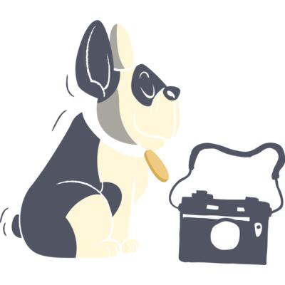 Dog Camera Thumbnail