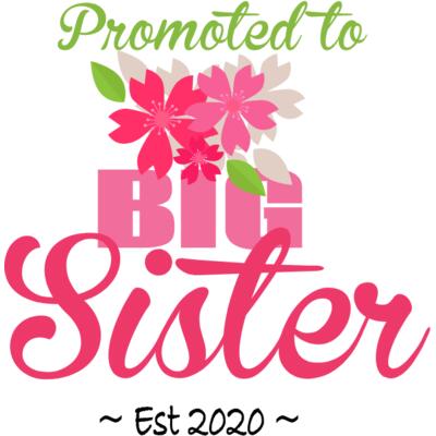 BIG Sister 2 Thumbnail