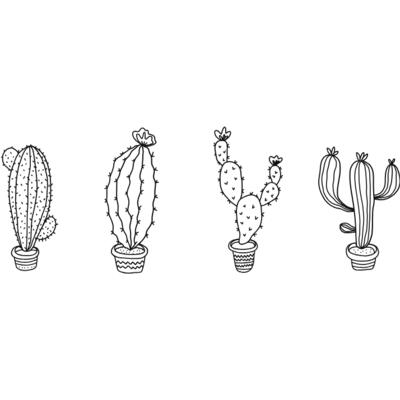 row of cactus Thumbnail