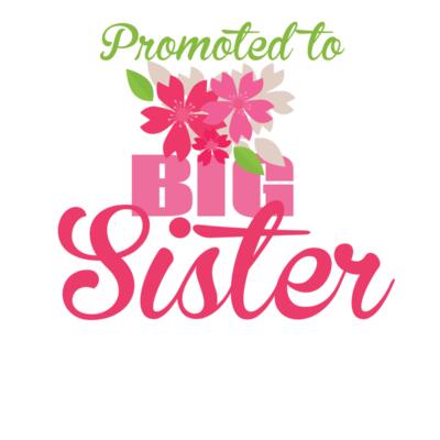 BIG Sister 2 Thumbnail