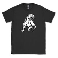 Gildan Mens Softstyle T-Shirt Thumbnail