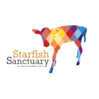 Starfish Bobby Calf Project Thumbnail