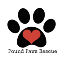 poundpawsrescue Thumbnail