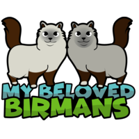 mybelovedbirmans Thumbnail