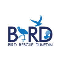 Bird Rescue Dunedin Thumbnail