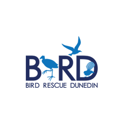 Bird Rescue Dunedin Thumbnail