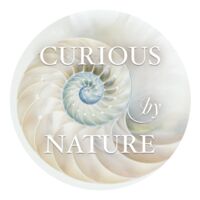 MyCuriousNature Thumbnail