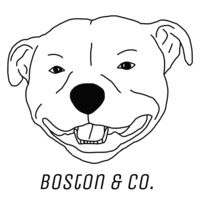 Boston & Co. Thumbnail