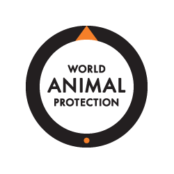 World Animal Protection Thumbnail