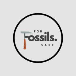 forfossilssake Thumbnail