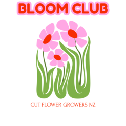 BloomClub Thumbnail